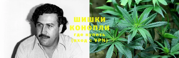 амф Горняк
