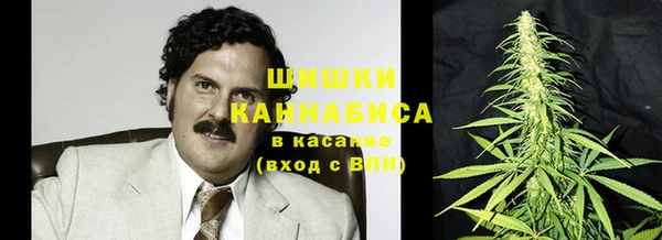 амф Горняк