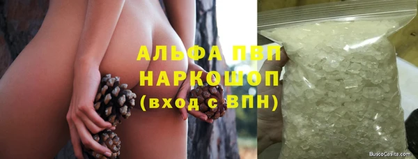 амф Горняк