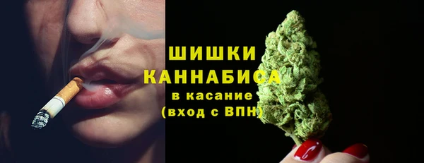 амф Горняк