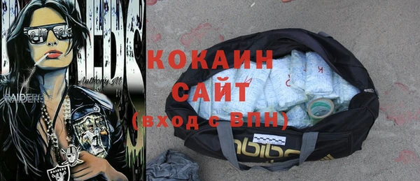 амф Горняк