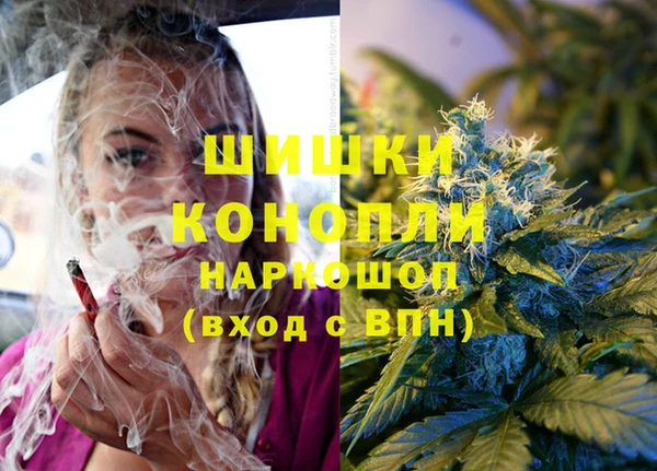 амф Горняк
