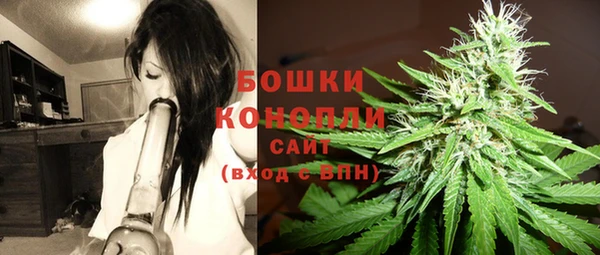 амф Горняк