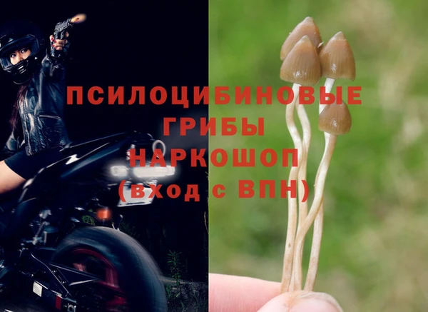 меф Горно-Алтайск